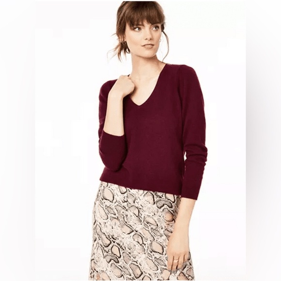 Charter Club Sweaters - Charter Club Cashmere Luxury V- Neck Sweater Quiet Luxury Sophisticated
